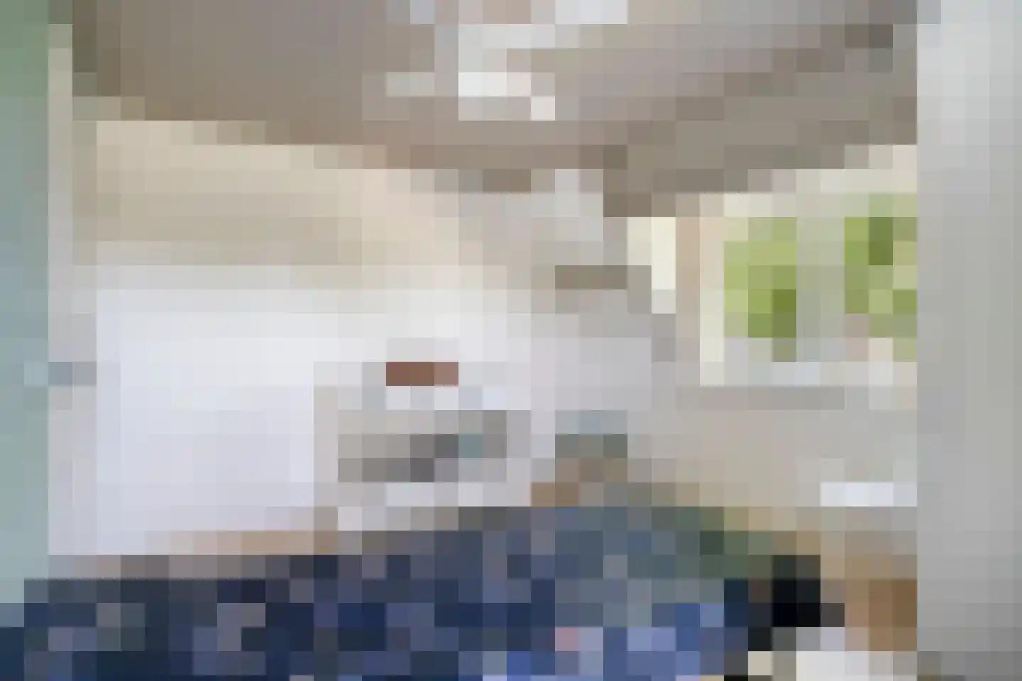 IJsbaanstraat 12 Zutphen thumbnail 23