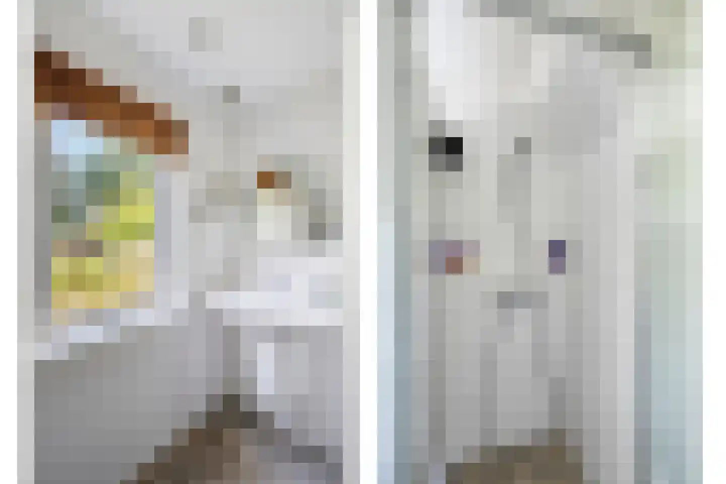 IJsbaanstraat 12 Zutphen thumbnail 26