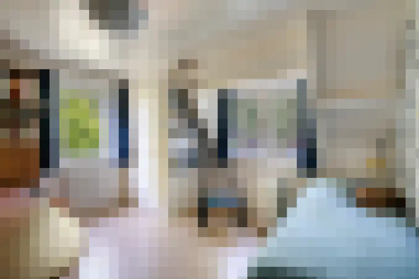 IJsbaanstraat 12 Zutphen thumbnail 29