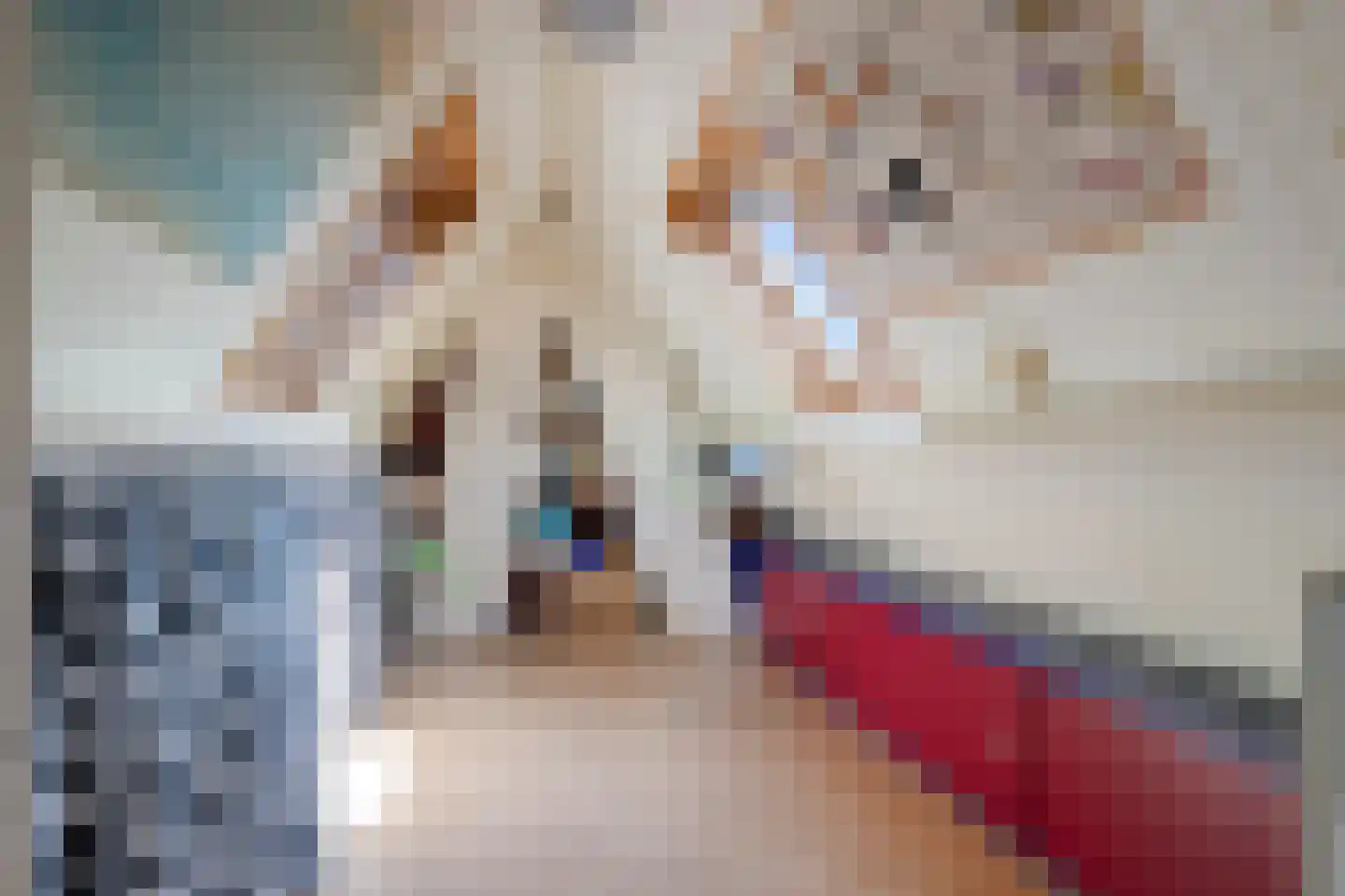 IJsbaanstraat 12 Zutphen thumbnail 33