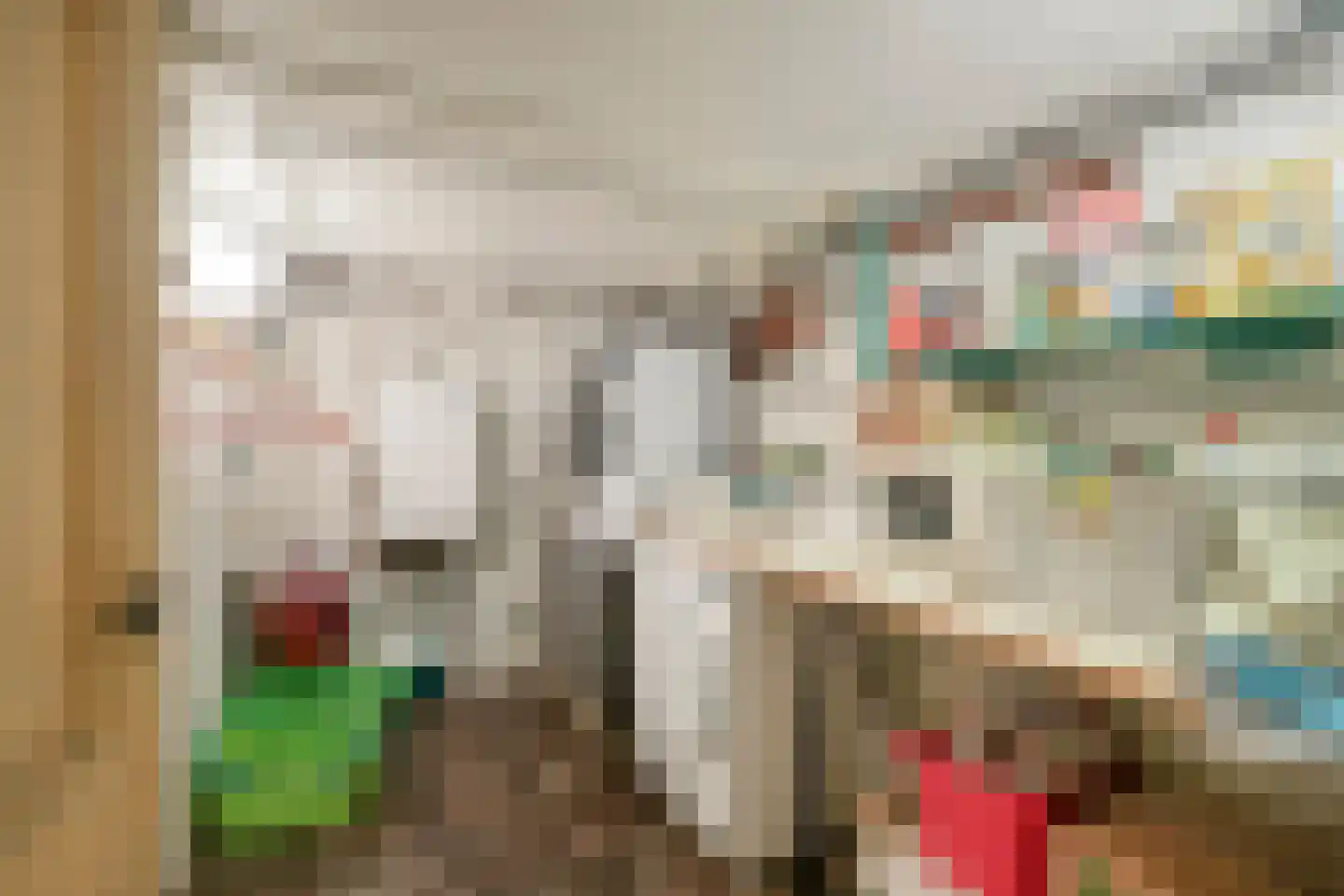 IJsbaanstraat 12 Zutphen thumbnail 34