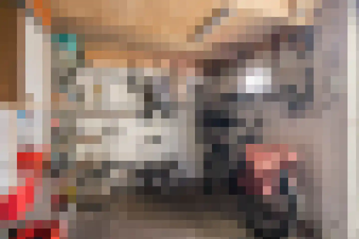 IJsbaanstraat 12 Zutphen thumbnail 35