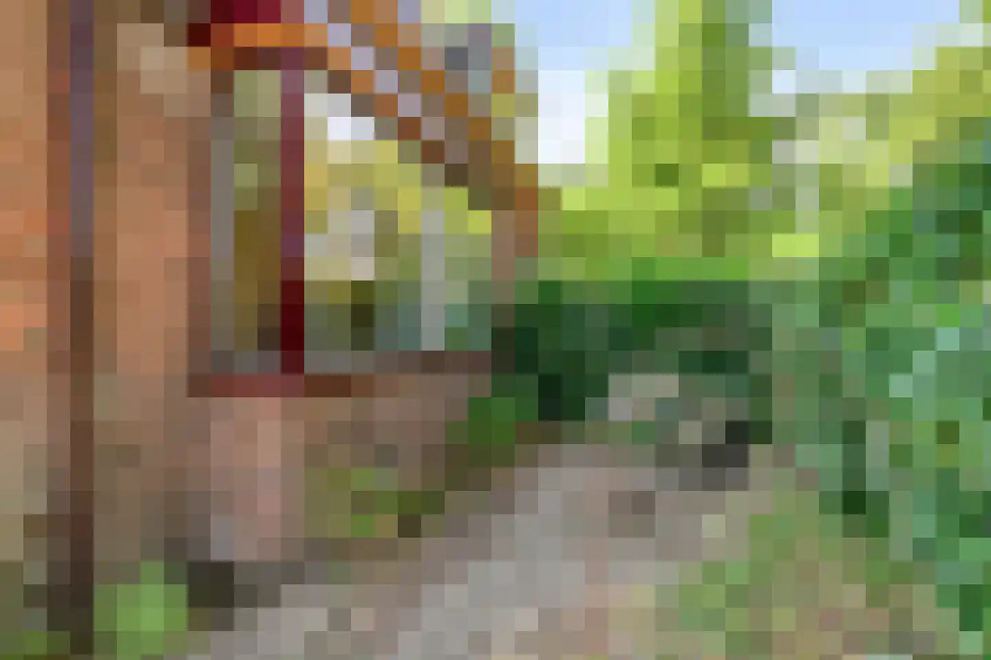 IJsbaanstraat 12 Zutphen thumbnail 41
