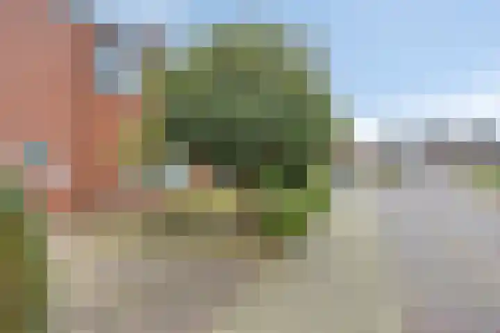 IJsbaanstraat 5 Denekamp thumbnail 32