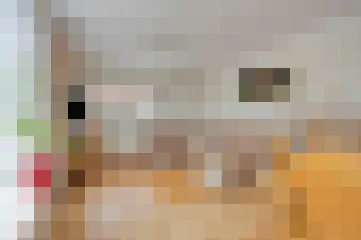 IJsbaanstraat 5 Denekamp thumbnail 4