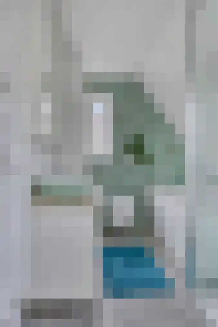IJsbaanstraat 8 Zutphen thumbnail 10