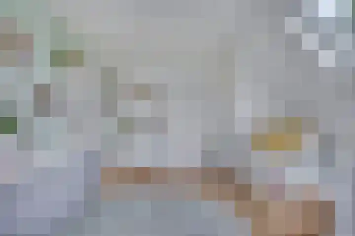 IJsbaanstraat 8 Zutphen thumbnail 13