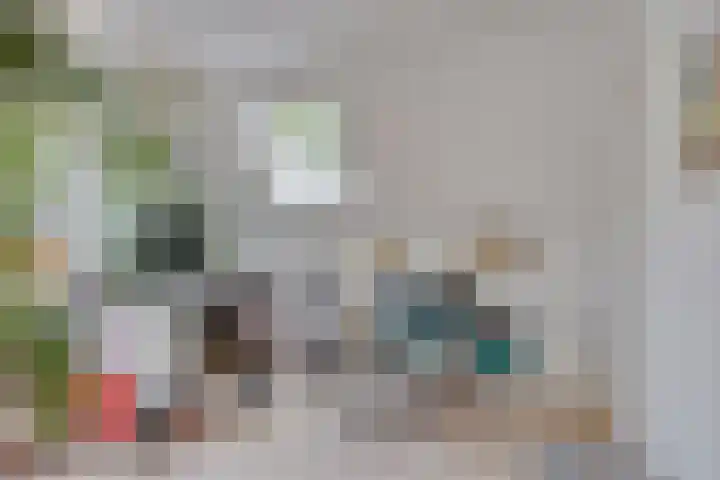 IJsbaanstraat 8 Zutphen thumbnail 15