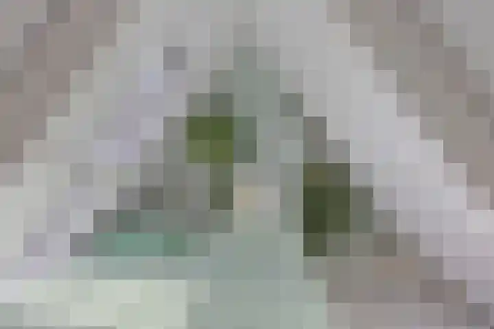 IJsbaanstraat 8 Zutphen thumbnail 17