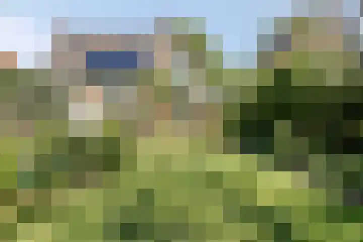 IJsbaanstraat 8 Zutphen thumbnail 19