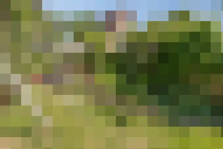 IJsbaanstraat 8 Zutphen thumbnail 20