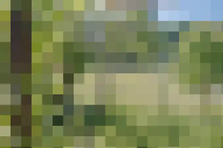 IJsbaanstraat 8 Zutphen thumbnail 21