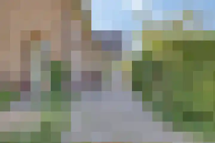 IJsbaanstraat 8 Zutphen thumbnail 22