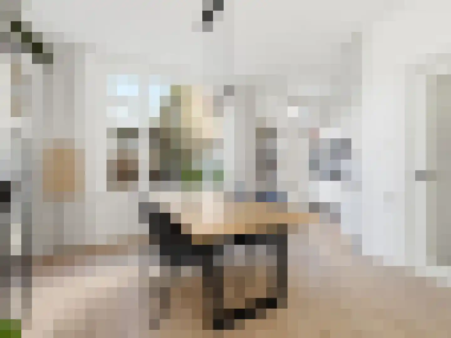 IJsbaanstraat 9 Zutphen thumbnail 10