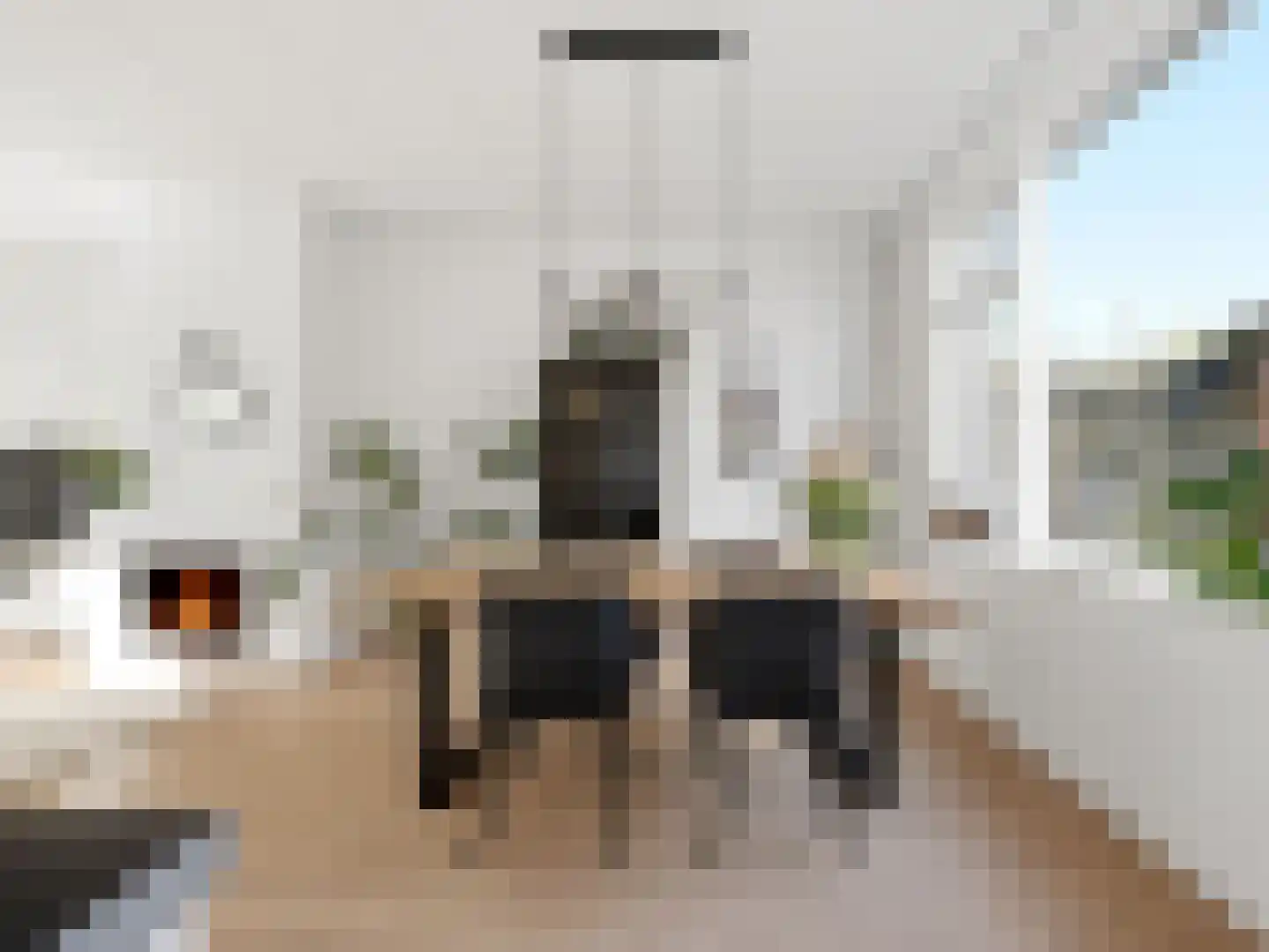 IJsbaanstraat 9 Zutphen thumbnail 11