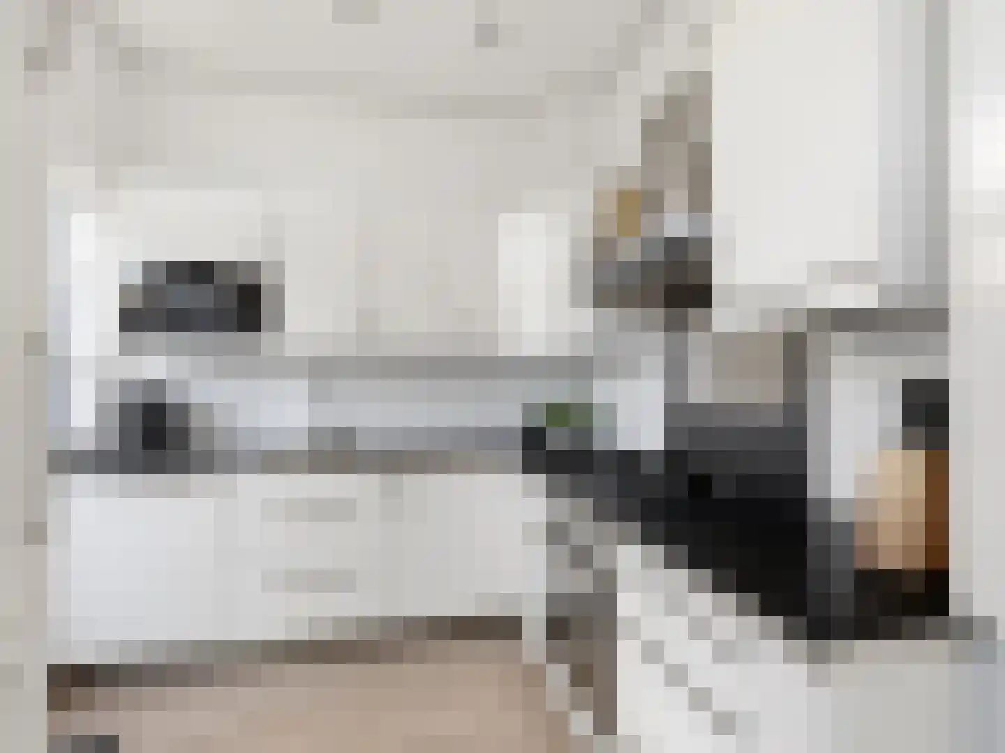 IJsbaanstraat 9 Zutphen thumbnail 12
