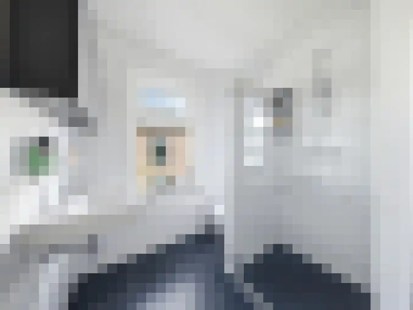 IJsbaanstraat 9 Zutphen thumbnail 19