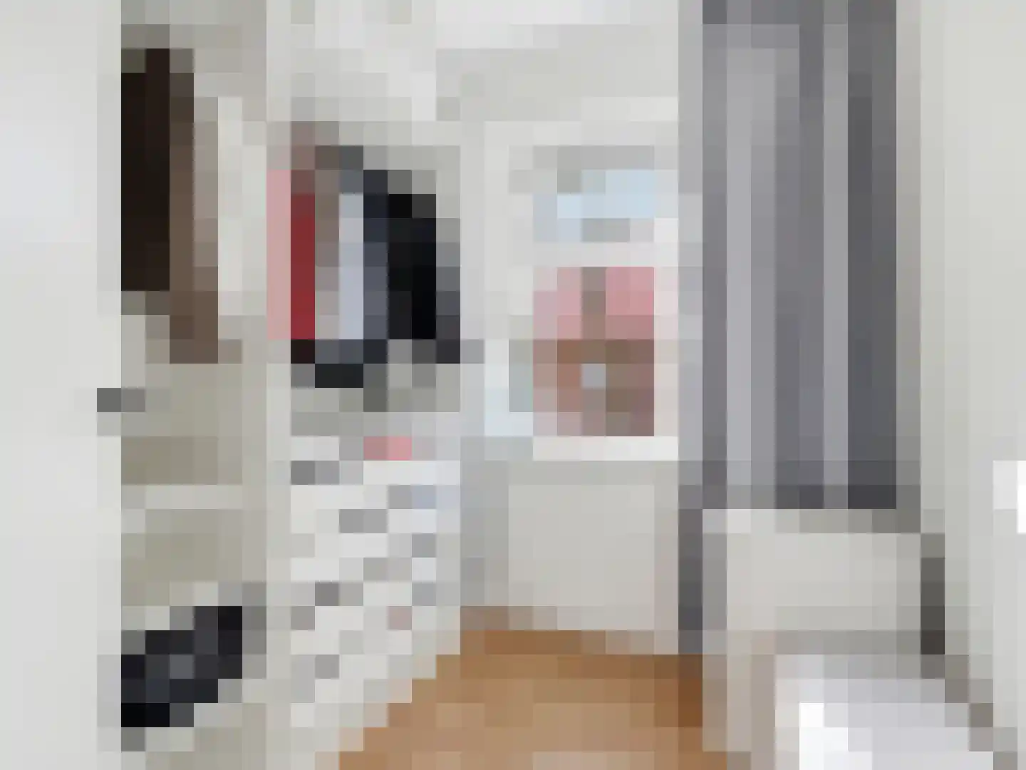 IJsbaanstraat 9 Zutphen thumbnail 22