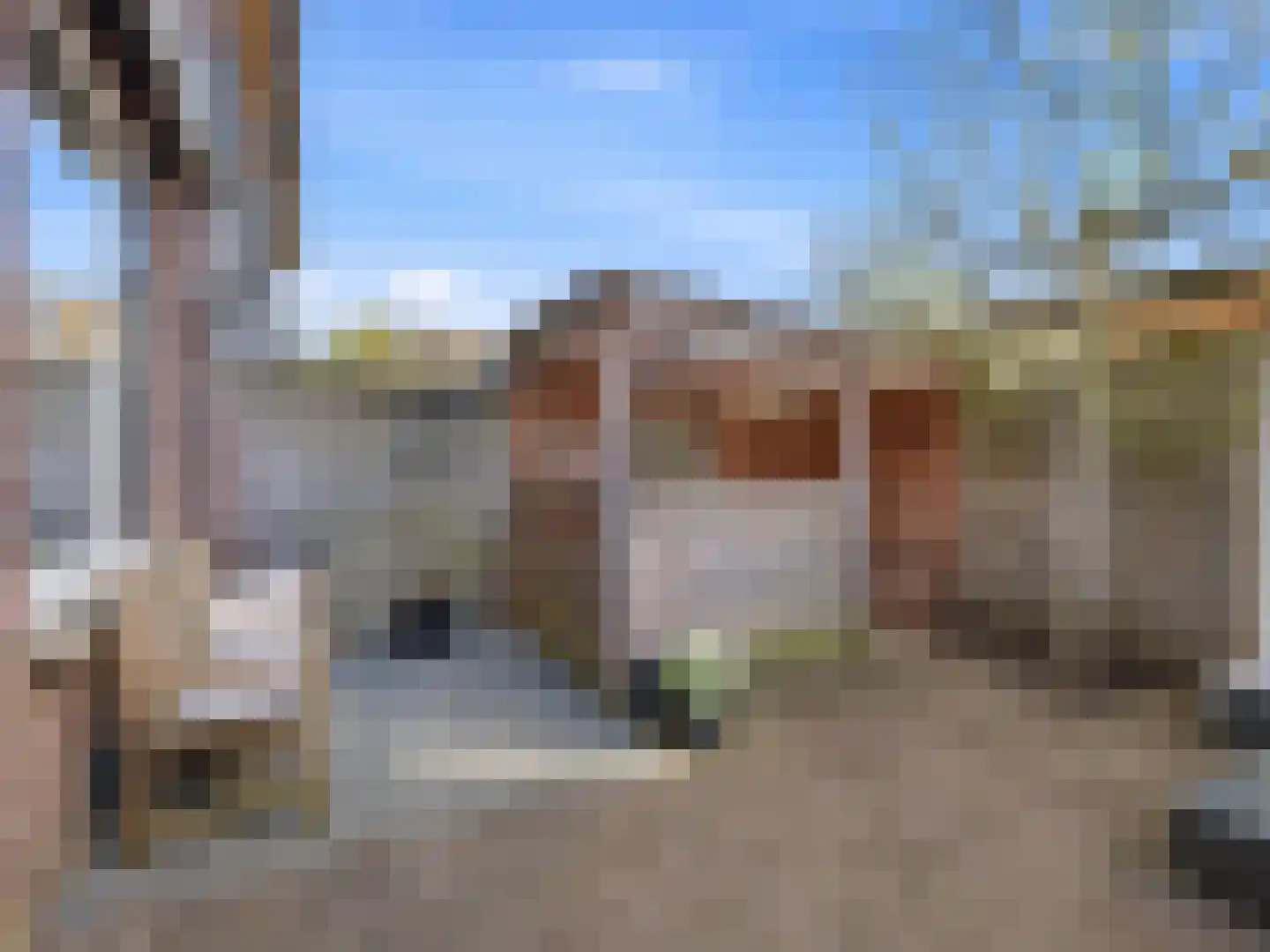 IJsbaanstraat 9 Zutphen thumbnail 23