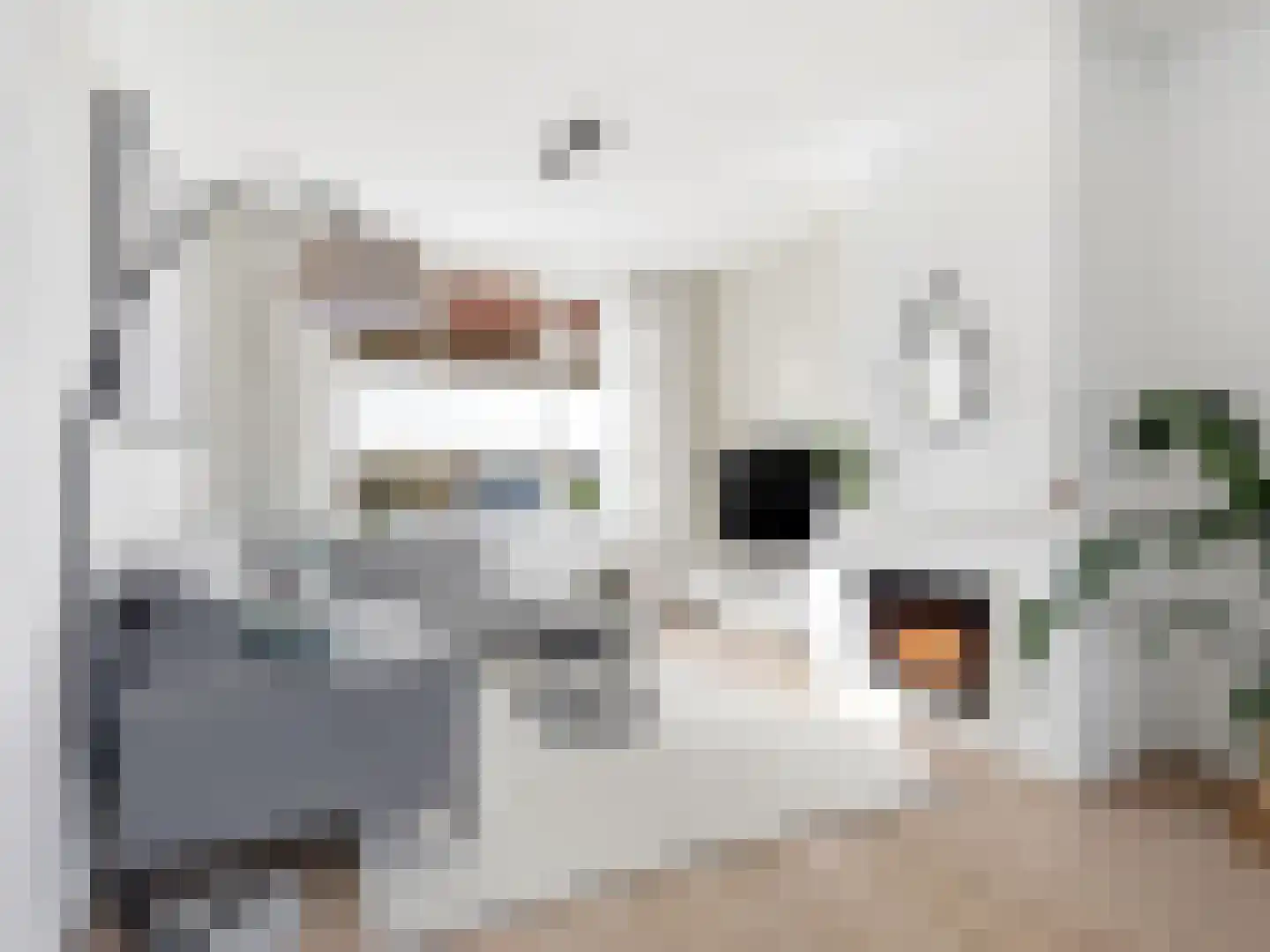 IJsbaanstraat 9 Zutphen thumbnail 5