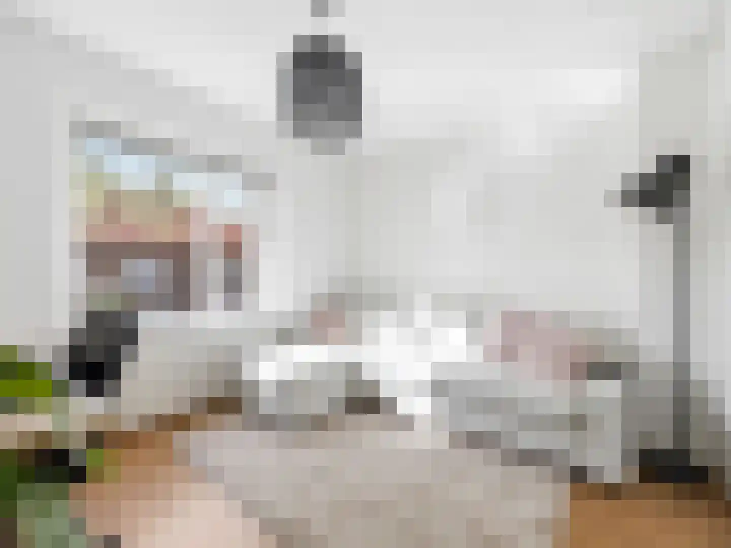 IJsbaanstraat 9 Zutphen thumbnail 7