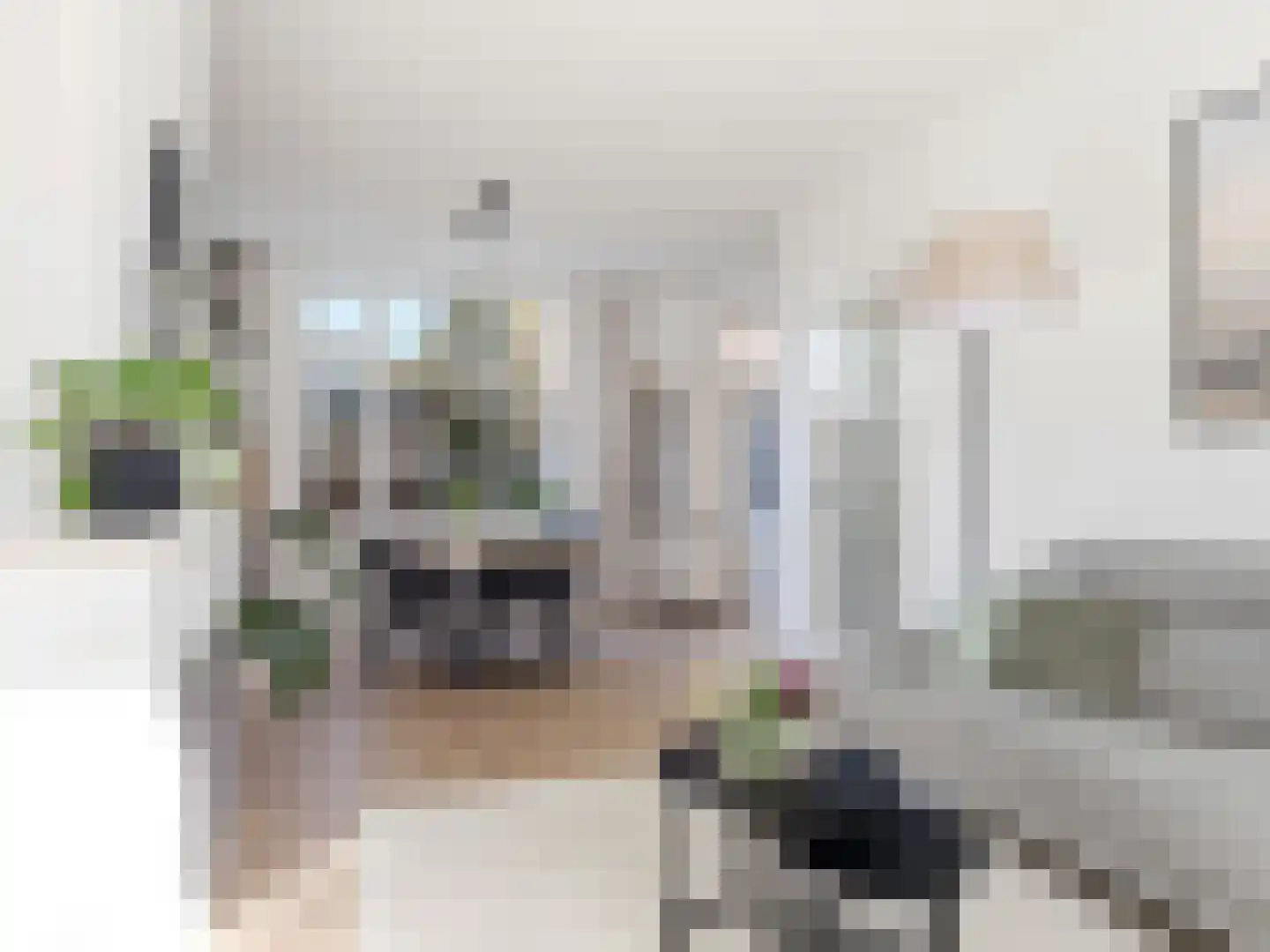 IJsbaanstraat 9 Zutphen thumbnail 8