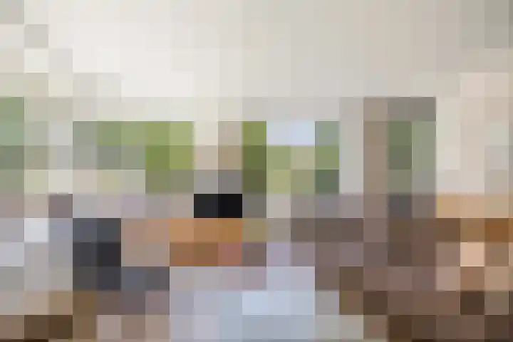 IJsbaanweg 29 Twello thumbnail 11