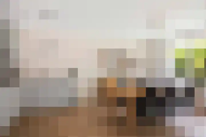 IJsbaanweg 29 Twello thumbnail 15