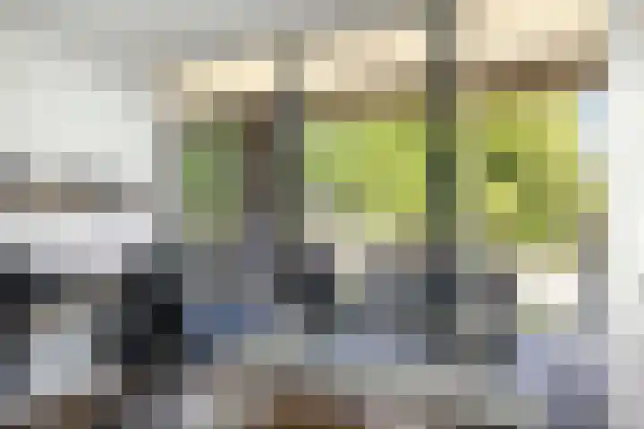 IJsbaanweg 29 Twello thumbnail 18