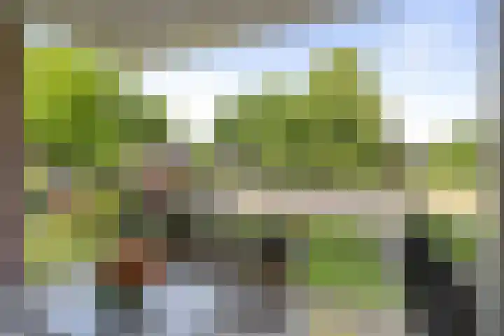 IJsbaanweg 29 Twello thumbnail 23