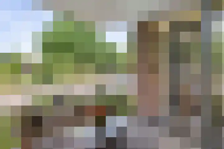 IJsbaanweg 29 Twello thumbnail 24