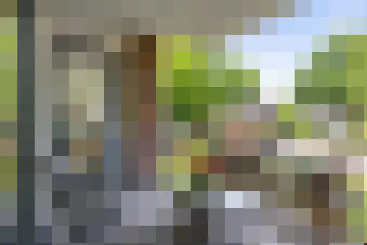IJsbaanweg 29 Twello thumbnail 25