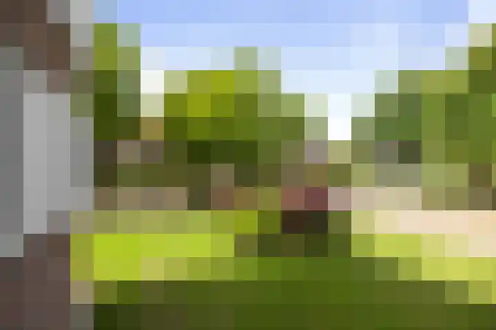 IJsbaanweg 29 Twello thumbnail 26