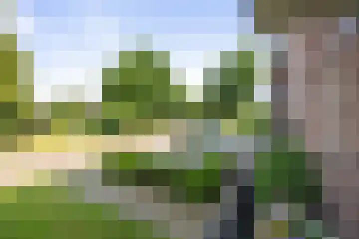 IJsbaanweg 29 Twello thumbnail 27