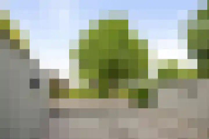 IJsbaanweg 29 Twello thumbnail 28
