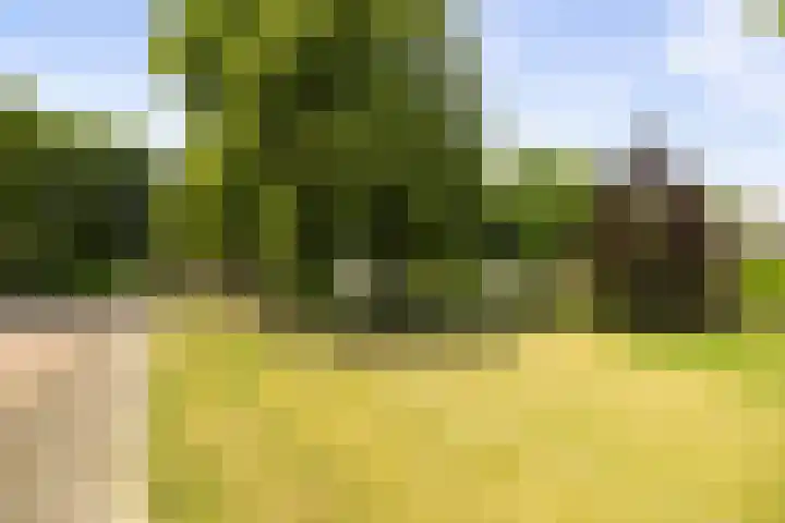 IJsbaanweg 29 Twello thumbnail 31