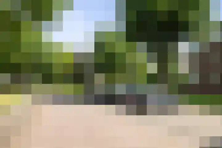 IJsbaanweg 29 Twello thumbnail 32