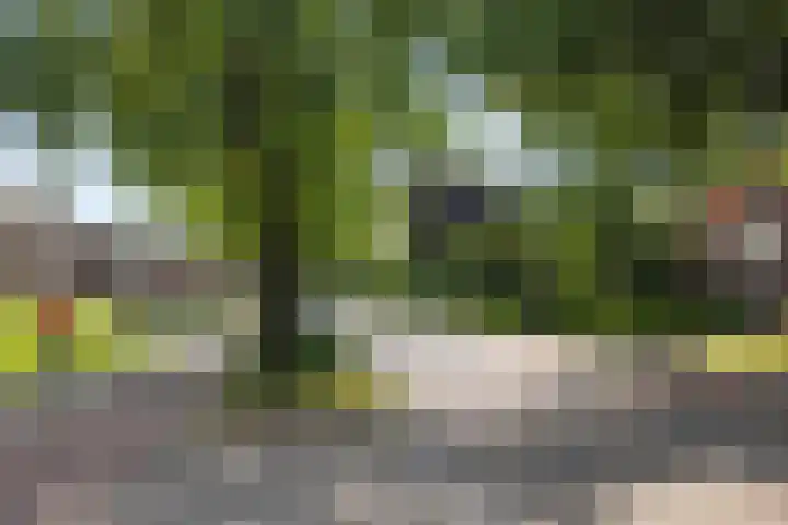 IJsbaanweg 29 Twello thumbnail 33