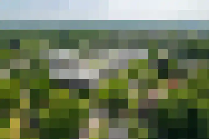 IJsbaanweg 29 Twello thumbnail 36