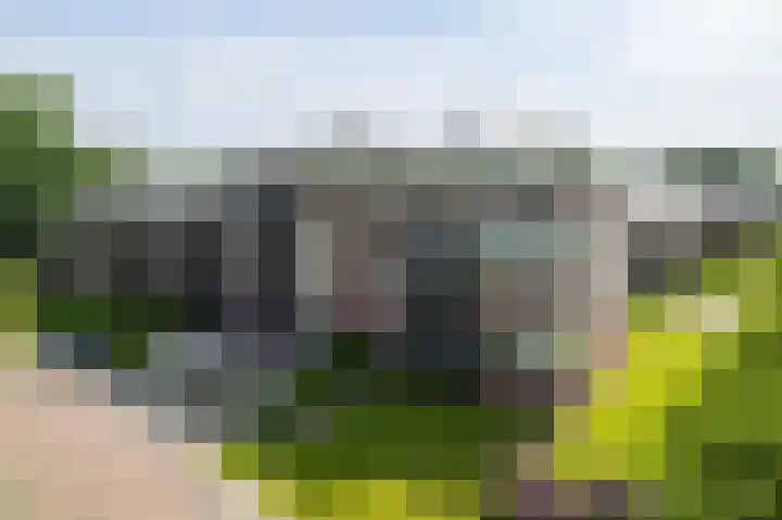 IJsbaanweg 29 Twello thumbnail 39