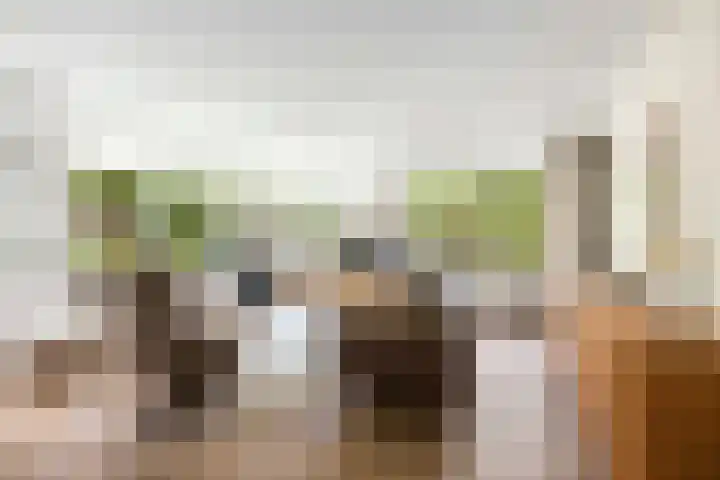 IJsbaanweg 29 Twello thumbnail 9