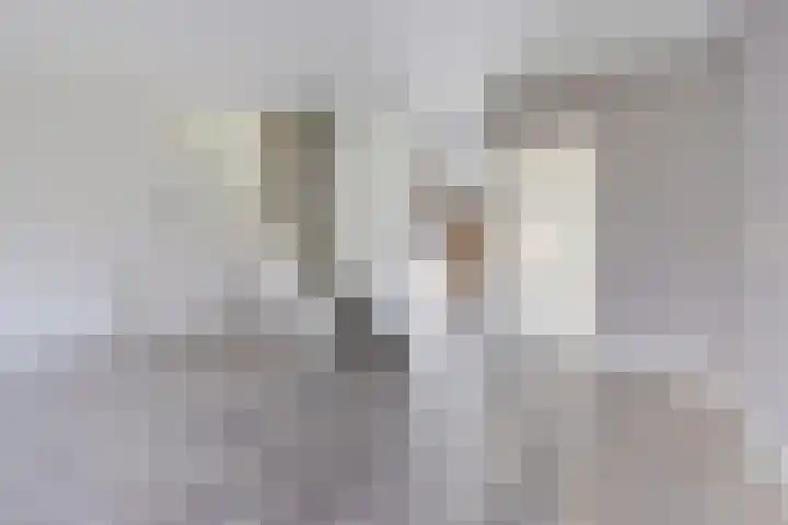 IJsbaanweg 38 Noordwolde thumbnail 21