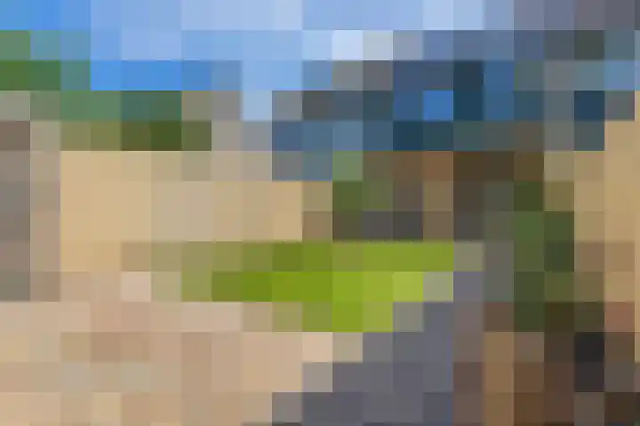 IJsbaanweg 38 Noordwolde thumbnail 38