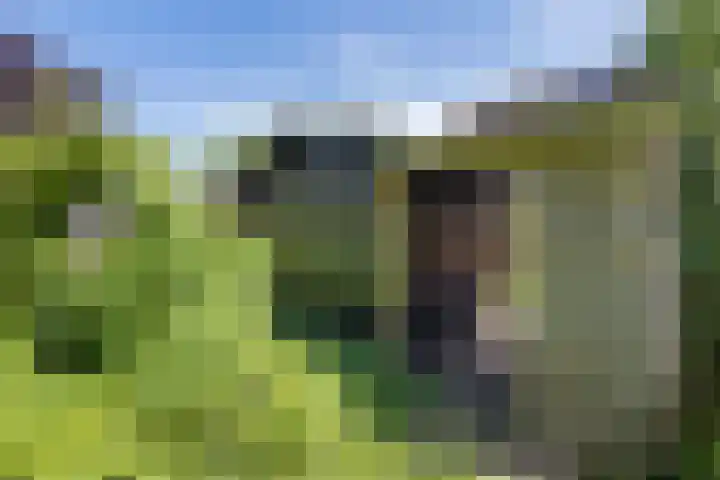 IJsbaanweg 38 Noordwolde thumbnail 42