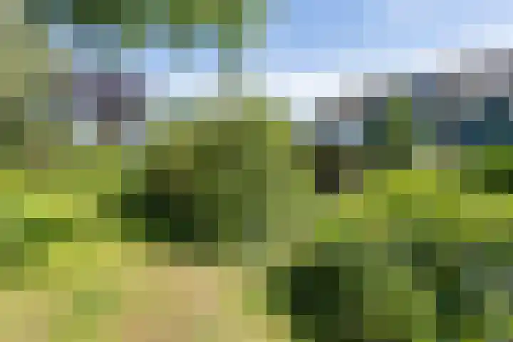 IJsbaanweg 38 Noordwolde thumbnail 43
