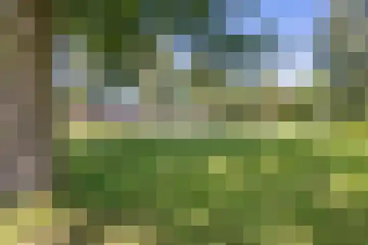 IJsbaanweg 38 Noordwolde thumbnail 44