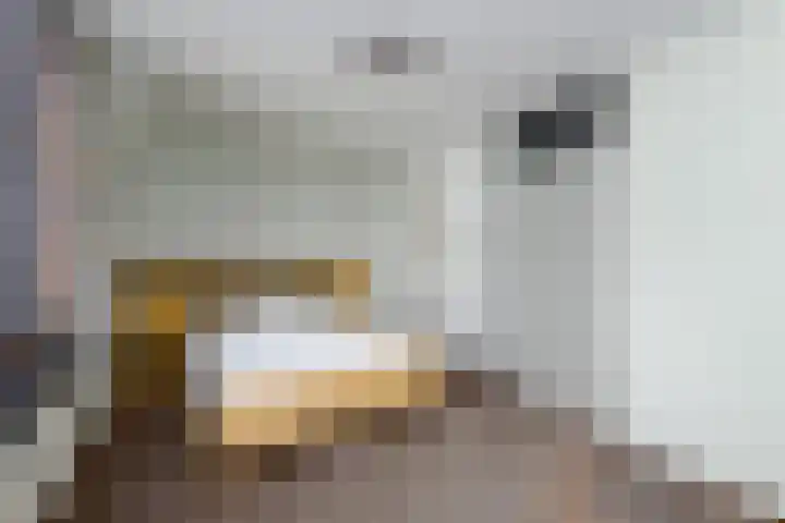 IJsbaanweg 40 Noordwolde thumbnail 12