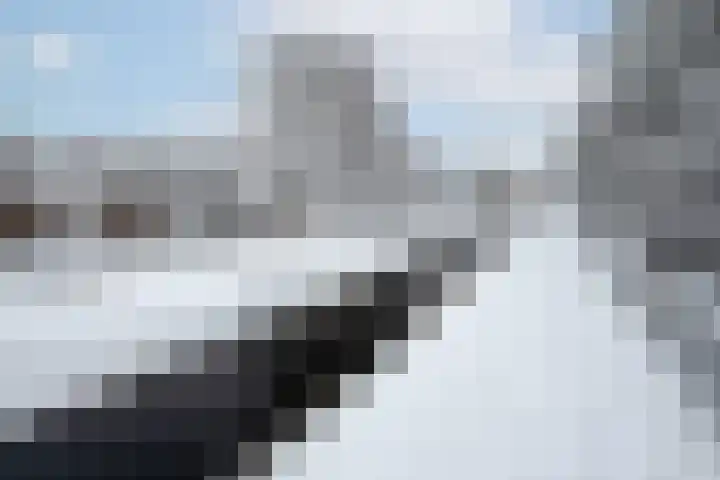 IJsbaanweg 40 Noordwolde thumbnail 30