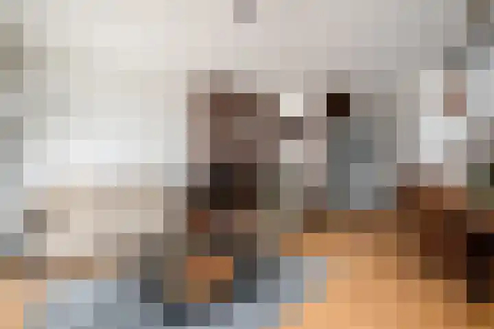 IJsbaanweg 40 Noordwolde thumbnail 7