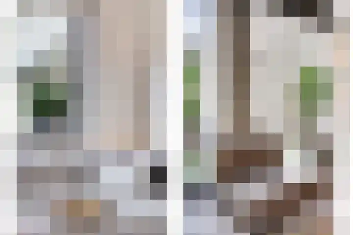 IJsbaanweg 5 C Twello thumbnail 13